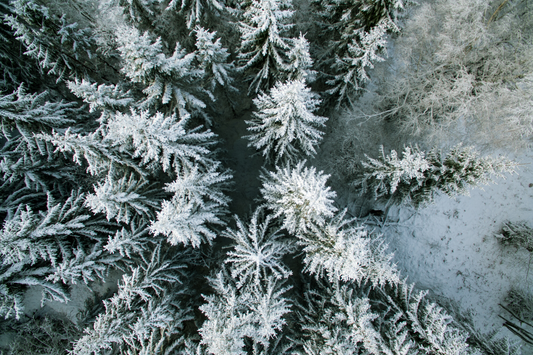 4 Tips To Destress During A Hectic Christmas