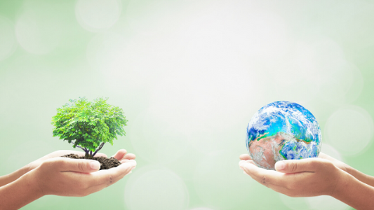 5 Simple Earth Day Challenges You Can Do at Home