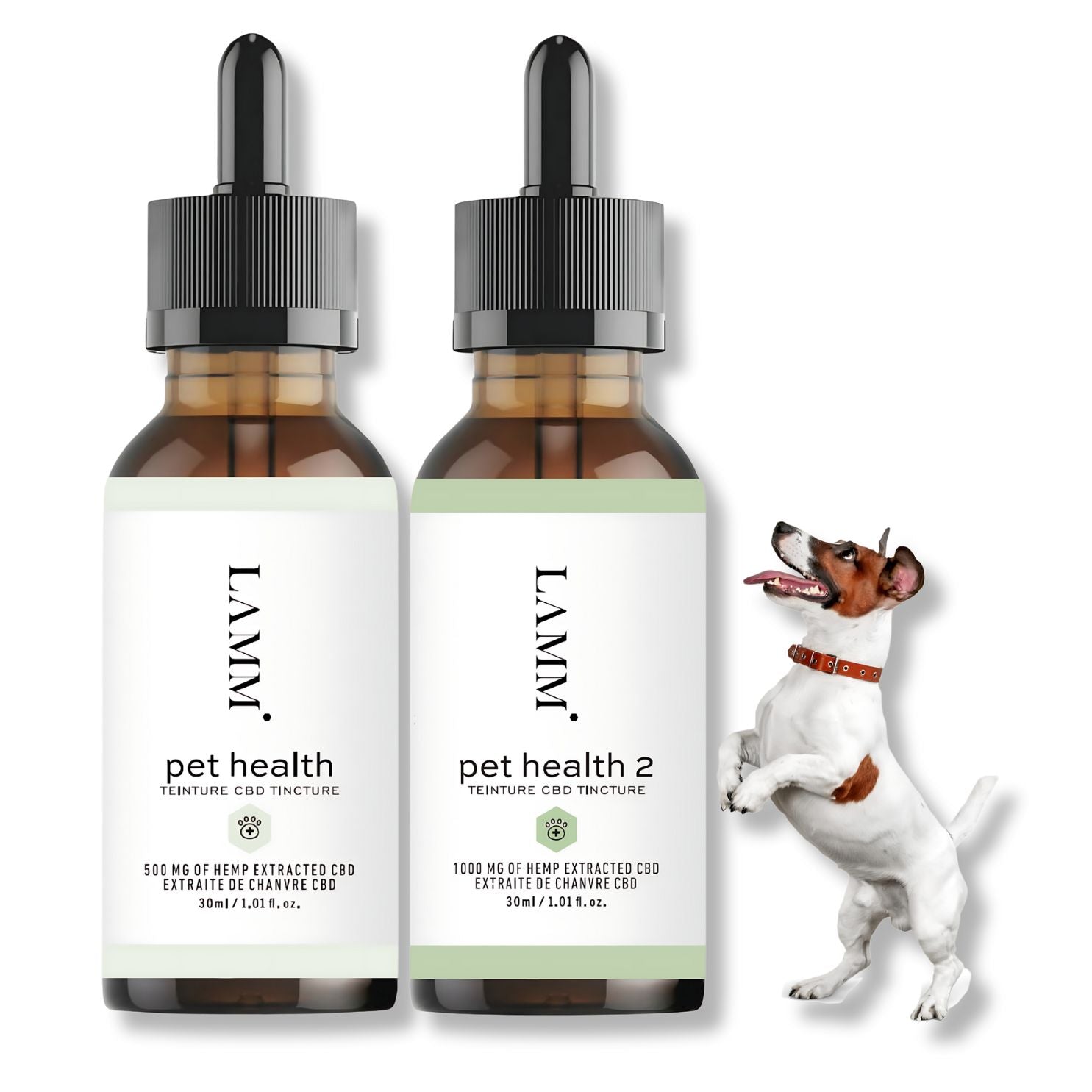 Pet Health CBD